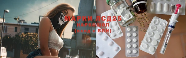 прущие грибы Алексеевка