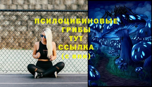 прущие грибы Алексеевка
