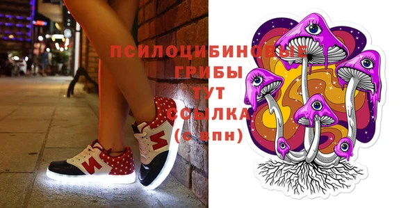 дурь Алзамай