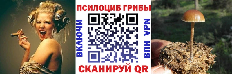 Псилоцибиновые грибы мухоморы  Купить закладки  Унеча 